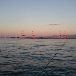 タチウオどこも渋すぎ！！