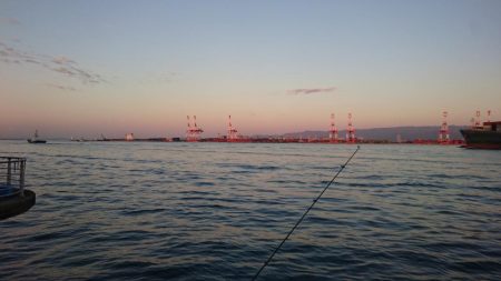 タチウオどこも渋すぎ！！