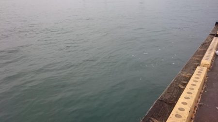 大潮2日目のタチウオ釣行