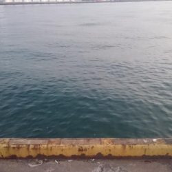 湾奥タチウオ釣行