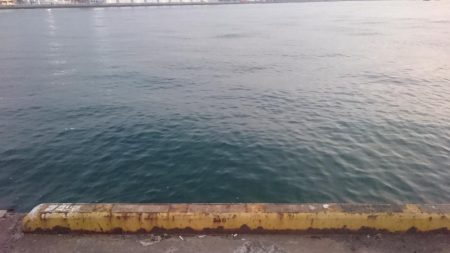 湾奥タチウオ釣行