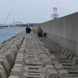東二見水道へ落ちギス釣査