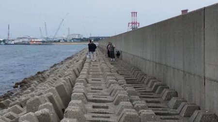 東二見水道へ落ちギス釣査