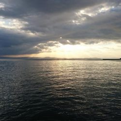 太刀魚、苦労した２匹