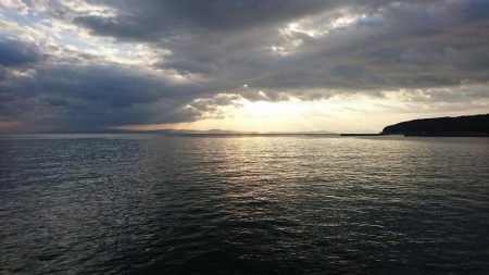 太刀魚、苦労した２匹