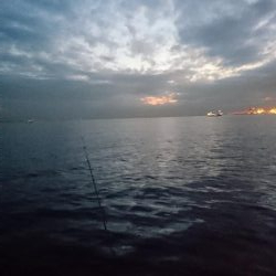 自作グロージグ