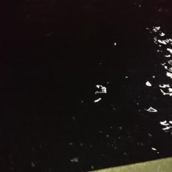 日没早い短時間夕練