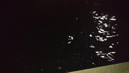 日没早い短時間夕練