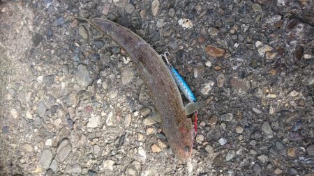 貧果でも釣れてよかった