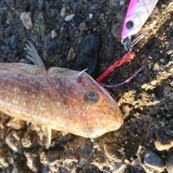 諦めかけたその時！