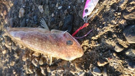 諦めかけたその時！