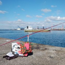 播磨新島へ釣行しました