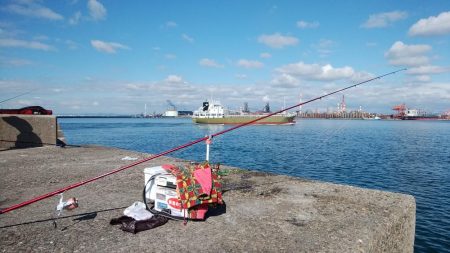 播磨新島へ釣行しました