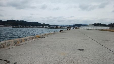 都志へ落ちギス釣査