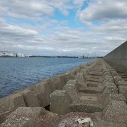 東二見水道へ落ちギス釣査