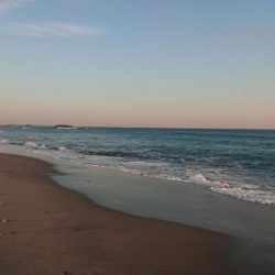 味を占めて連日釣行