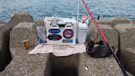 東二見水道で落ちギス釣り