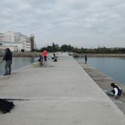 東二見白灯台波止へ落ちギス釣査