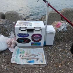 東二見水道で落ちギス釣査