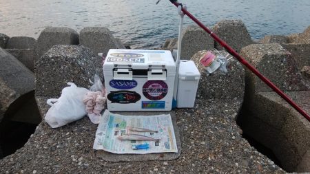 東二見水道で落ちギス釣査