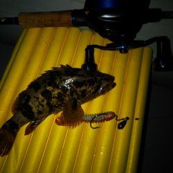 ゴムボートフィッシング