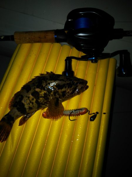 ゴムボートフィッシング