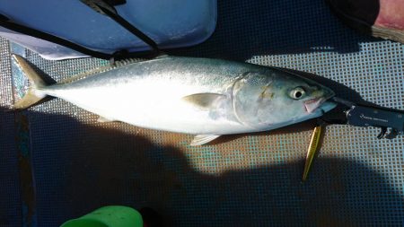 レンタルボートジギング&タイラバ