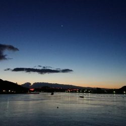 サンキューヌメヌメカレイフィッシュ