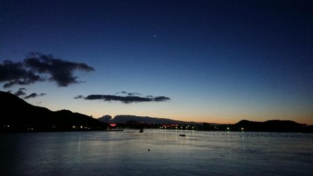 サンキューヌメヌメカレイフィッシュ