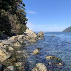 地磯でアコウ狙うもガシラのみ