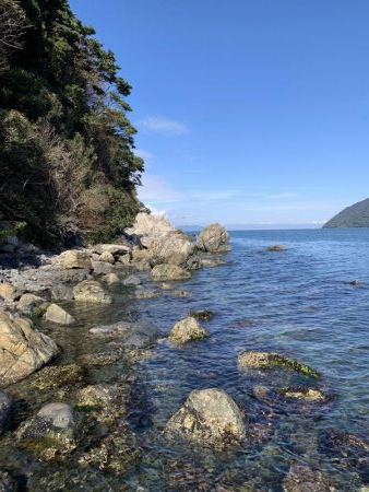 地磯でアコウ狙うもガシラのみ