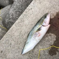 真昼間の大当たり