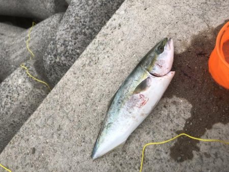 真昼間の大当たり