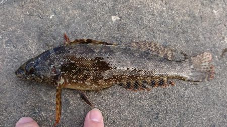 江井ヶ島漁港・江井ヶ島海岸