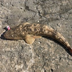 バルトの威力!!!