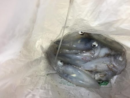 ヒイカ　リベンジ