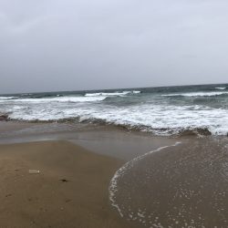 荒れてます、雨降ってます