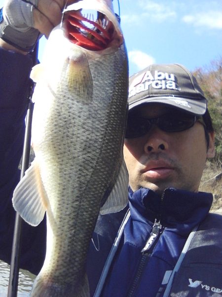 秋でもバックウォーター