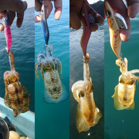 ボートエギング