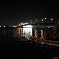 南港カモメ大橋ヘチ釣行 (釣果渋い~ 小キビレ、ガシラ 釣果のみ)