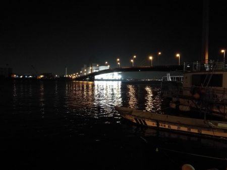 南港カモメ大橋ヘチ釣行 (釣果渋い~ 小キビレ、ガシラ 釣果のみ)