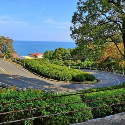 大崎海岸(休暇村 瀬戸内・東予)で投げ釣り