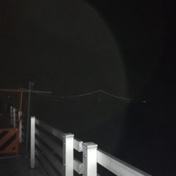 夕方からタチウオ