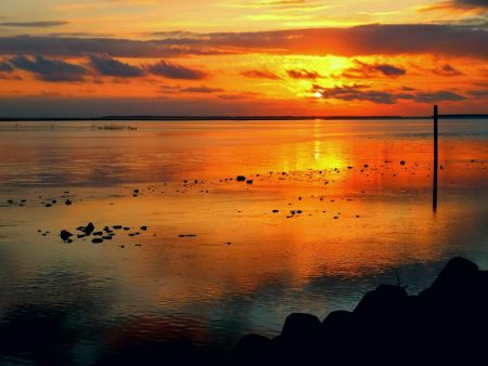 カマスのシーバスインかも