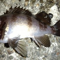 天気がいいので