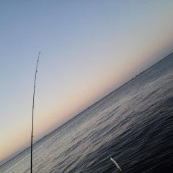 渋い中、少ない当たりをモノにしました!