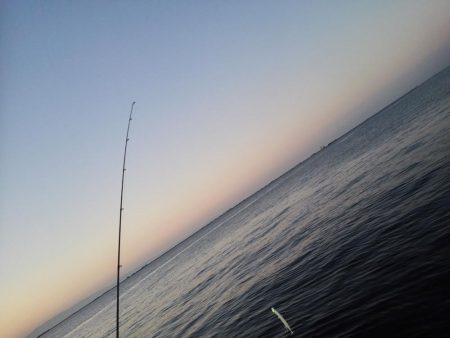 渋い中、少ない当たりをモノにしました!