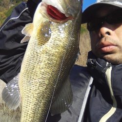 バスはシャローにもディープにも居ます…