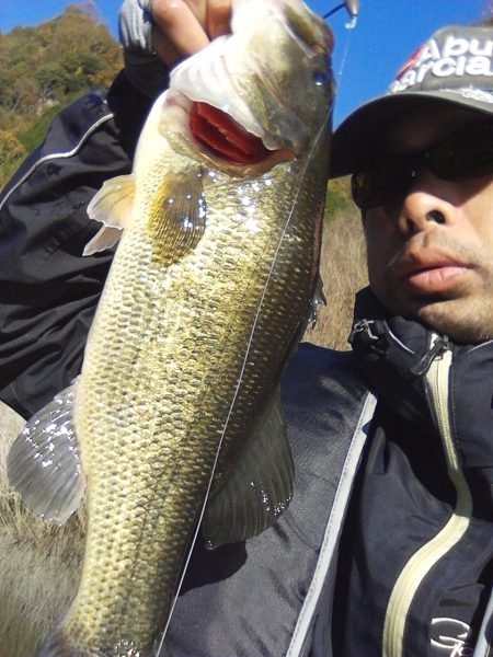 バスはシャローにもディープにも居ます…