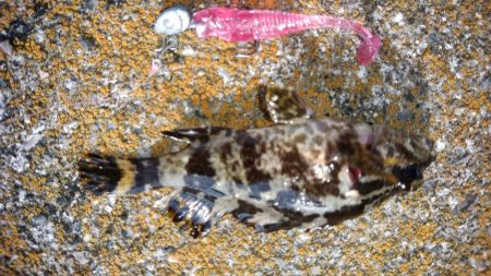 用事のついでに